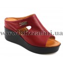  Q293-02-N553 red кожа л